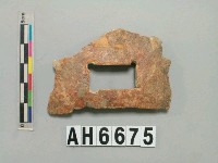 藏品(人頭蓋骨)的圖片